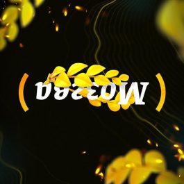 Квиз Мозгва Новички 604 День 3